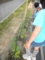 20100606164040