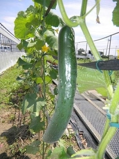 20100628115320