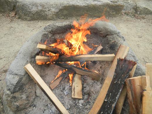 f:id:cotton1010:20110403085203j:image:w320,h240