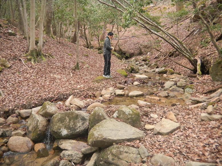 f:id:cotton1010:20110403102847j:image:w320,h240