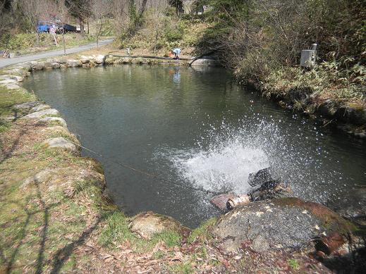 f:id:cotton1010:20110417123039j:image:w320,h240