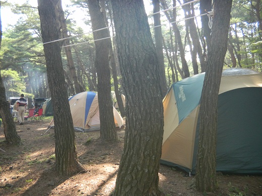 f:id:cotton1010:20110814083752j:image:w360 f:id:cotton1010:20110814083752j:image:w360