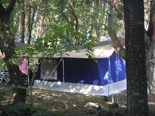 f:id:cotton1010:20110814085655j:image:w360 f:id:cotton1010:20110814085655j:image:w360