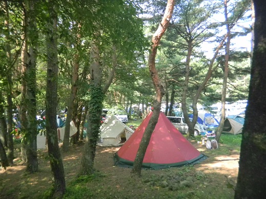 f:id:cotton1010:20110814085924j:image:w360 f:id:cotton1010:20110814085924j:image:w360