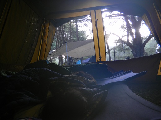 f:id:cotton1010:20110815053825j:image:w360 f:id:cotton1010:20110815053825j:image:w360