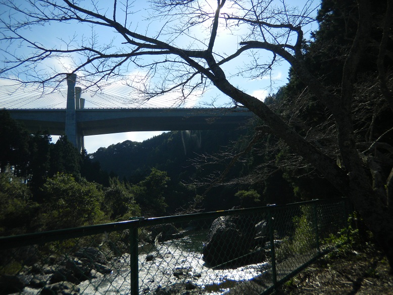 f:id:cotton1010:20111029133411j:image:w360