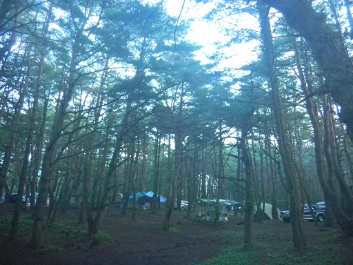 f:id:cotton1010:20120812053421j:image:w360 f:id:cotton1010:20120812053421j:image:w360