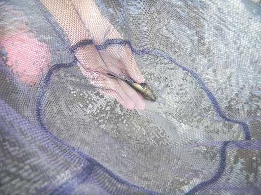 f:id:cotton1010:20120812110658j:image:w360 f:id:cotton1010:20120812110658j:image:w360