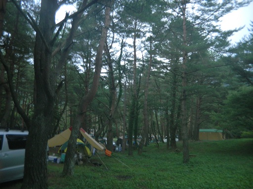 f:id:cotton1010:20120813045214j:image:w360 f:id:cotton1010:20120813045214j:image:w360