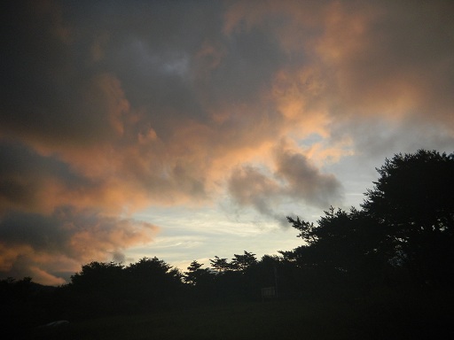 f:id:cotton1010:20120813050714j:image:w360 f:id:cotton1010:20120813050714j:image:w360