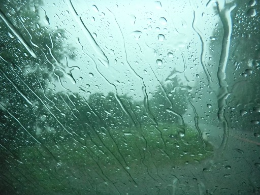 f:id:cotton1010:20120818124539j:image:w360