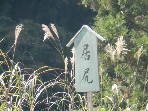 f:id:cotton1010:20121110122039j:image:w360 f:id:cotton1010:20121110122039j:image:w360