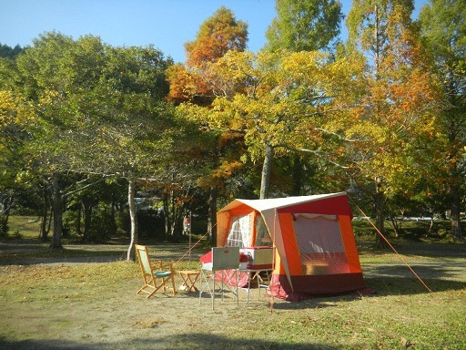 f:id:cotton1010:20121110133700j:image:w360 f:id:cotton1010:20121110133700j:image:w360