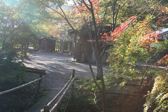 f:id:cotton1010:20121110151147j:image:w360 f:id:cotton1010:20121110151147j:image:w360