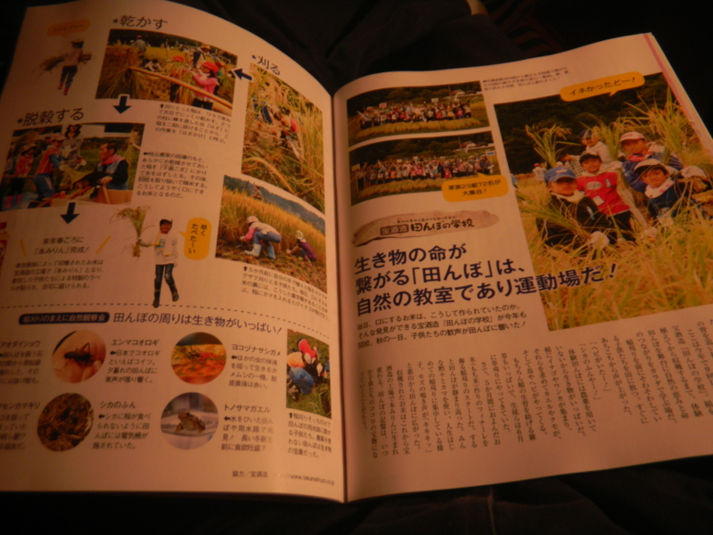 f:id:cotton1010:20121110212337j:image:w360
