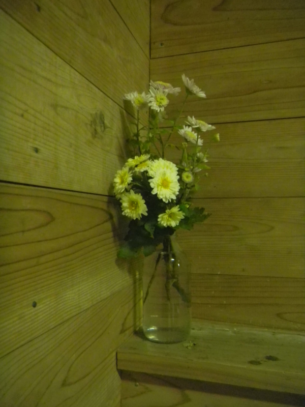 f:id:cotton1010:20121110221124j:image:h360,w280