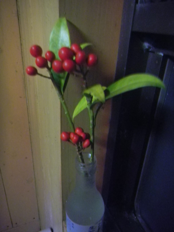 f:id:cotton1010:20121110224941j:image:h360,w280