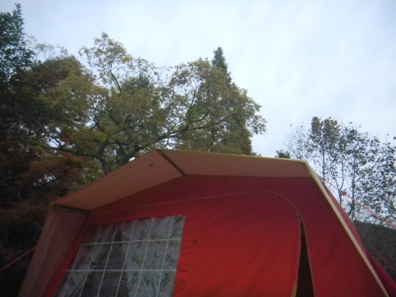 f:id:cotton1010:20121111062324j:image:w360