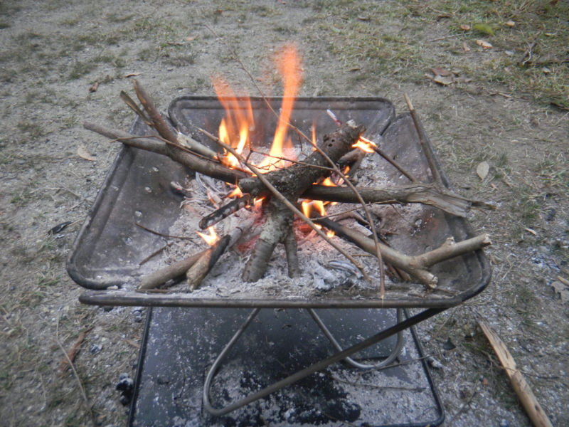 f:id:cotton1010:20121111064527j:image:w360
