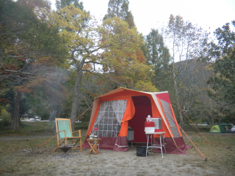 f:id:cotton1010:20121111065812j:image:w360
