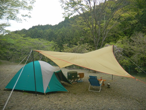 f:id:cotton1010:20130417151303j:image:w360