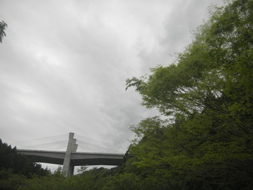 f:id:cotton1010:20130417161509j:image:w360