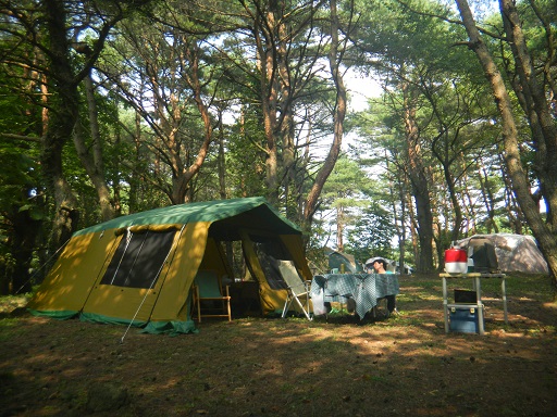 f:id:cotton1010:20130814143702j:image:w360