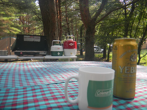 f:id:cotton1010:20130814143848j:image:w360