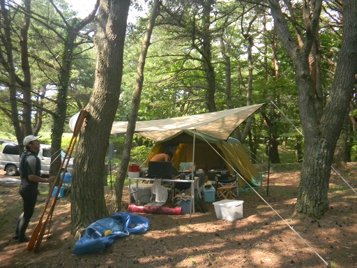 f:id:cotton1010:20130815140546j:image:w360