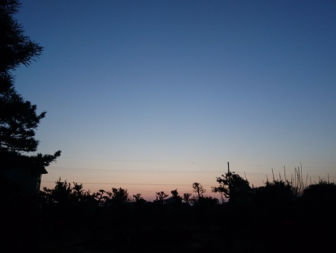 f:id:cotton1010:20180123063535j:image:w360