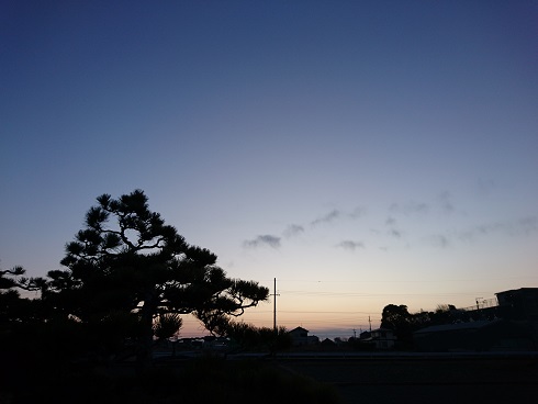 f:id:cotton1010:20180204063547j:image:w360