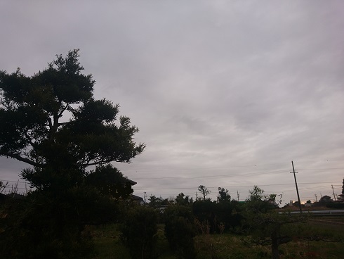 f:id:cotton1010:20180319062512j:image:w360 f:id:cotton1010:20180319062512j:image:w360