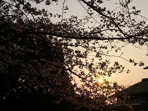 20180327062306