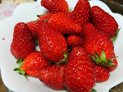 f:id:cotton1010:20180406210938j:image:w360
