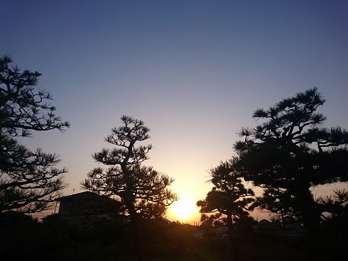 f:id:cotton1010:20180409054513j:image:w360