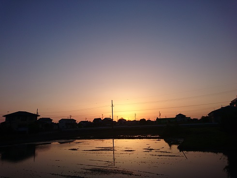 f:id:cotton1010:20180428051028j:image:w360