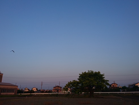 f:id:cotton1010:20180428051409j:image:w360