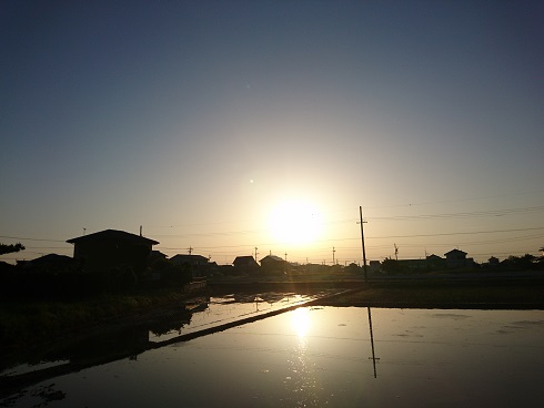 f:id:cotton1010:20180501053832j:image:w360
