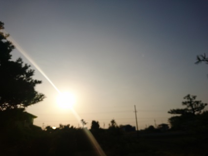 f:id:cotton1010:20190421061434j:plain