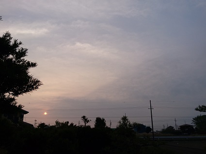 f:id:cotton1010:20190422054308j:plain
