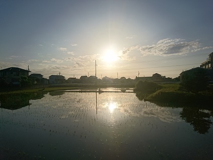 f:id:cotton1010:20190517054148j:plain