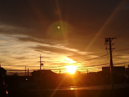 f:id:cotton1010:20190617044716j:plain f:id:cotton1010:20190617044716j:plain