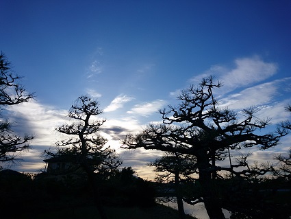 f:id:cotton1010:20190617054808j:plain f:id:cotton1010:20190617054808j:plain