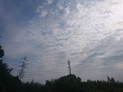 f:id:cotton1010:20191027102755j:plain