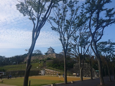 f:id:cotton1010:20191027144012j:plain