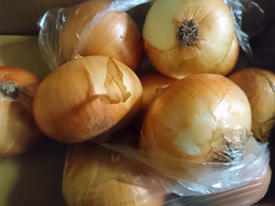 f:id:cotton1010:20191027193554j:plain