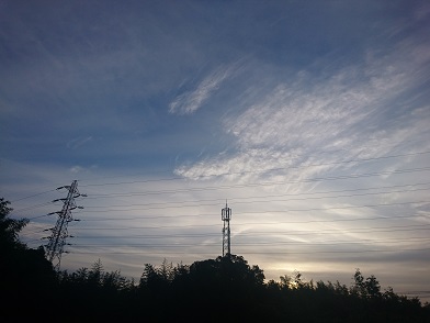 f:id:cotton1010:20191031064558j:plain f:id:cotton1010:20191031064558j:plain