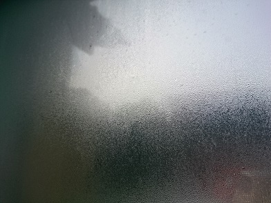f:id:cotton1010:20191031071928j:plain f:id:cotton1010:20191031071928j:plain