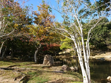 f:id:cotton1010:20191117093416j:plain f:id:cotton1010:20191117093416j:plain