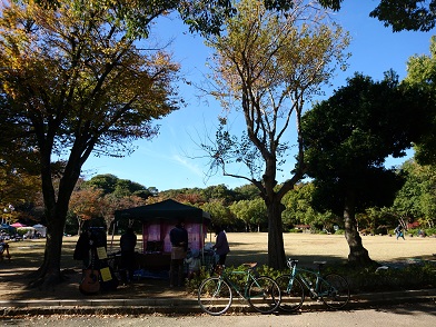 f:id:cotton1010:20191117094437j:plain f:id:cotton1010:20191117094437j:plain